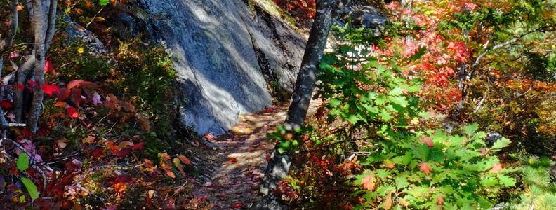 Hiking Trails: Precipice Trail, Acadia National Park