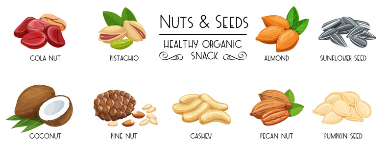 nuts and seeds provide healthy fat and lots of protein for muscle growth
